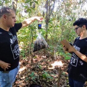 Artigo sobre estudos de carbono realizados em Rondônia é publicado na revista Floresta da UFPR