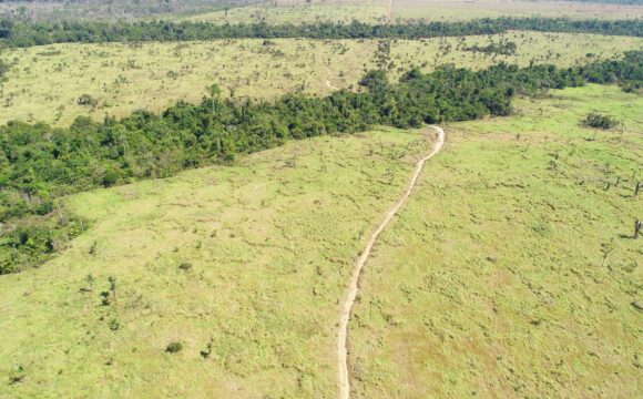 Rioterra launches a project that will reforest 12,000 hectares of degraded areas in the Amazon