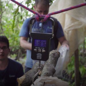 Uma das maiores e mais completas pesquisas sobre quantificação de carbono tem nova etapa em Rondônia