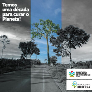 Ecossistemas: Temos uma década para curar o Planeta