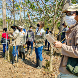 AgroTag, sistema de georreferenciamento da Embrapa, já está disponível em Rondônia