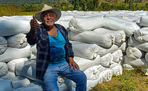 Beneficiário do Projeto Plantar fala sobre as vantagens do reflorestamento