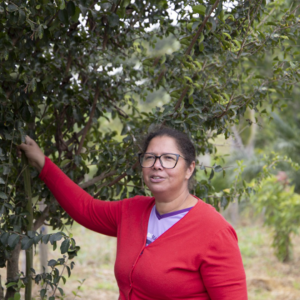 A força da mulher do campo