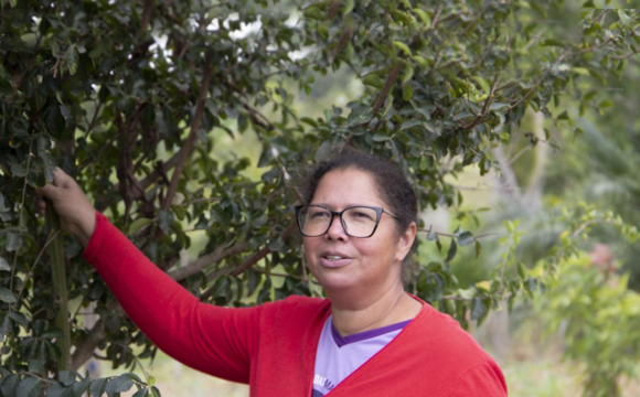 A força da mulher do campo