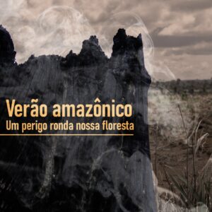 Verão Amazônico: um perigo ronda nossas florestas