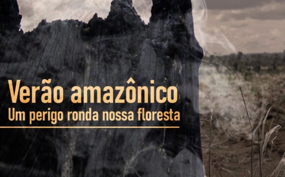 Verão Amazônico: um perigo ronda nossas florestas