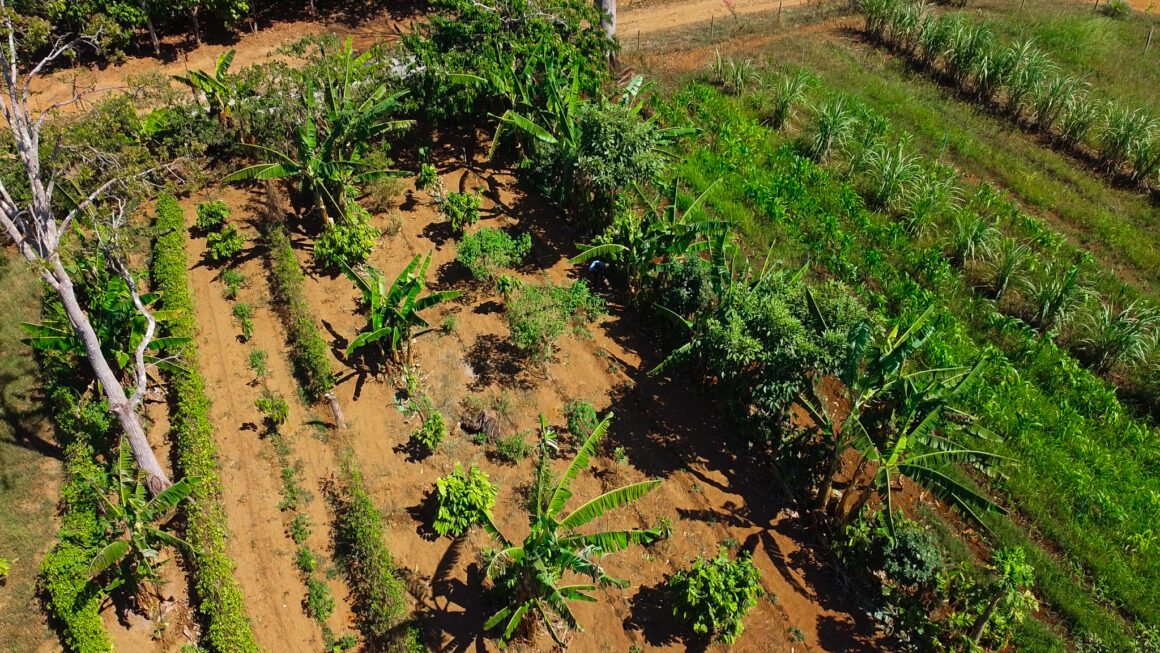 É possível que o desenvolvimento econômico e a conservação ambiental caminhem juntos?